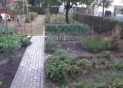 Garten 2020