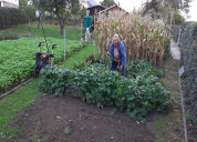 Garten 2020