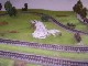 Modellbahn Wiehe