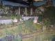 Miniatur Wunder Land Hamburg
