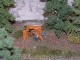 Miniatur Wunder Land Hamburg