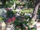 Gartenbahn in Taura
