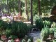 Gartenbahn in Taura