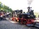 Schmalspurbahn in Sachsen Steinbach - Johstadt