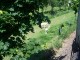 Döllnitzbahn