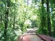 Döllnitzbahn