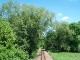 Döllnitzbahn