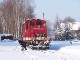 Döllnitzbahn