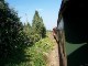 Döllnitzbahn