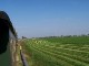 Döllnitzbahn