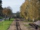 Führerstandsmitfahrt Mügeln