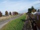 Führerstandsmitfahrt Mügeln