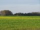 Führerstandsmitfahrt Mügeln
