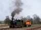 1K in Mügeln