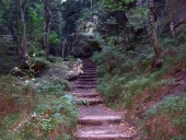 Burgen Sclösser
