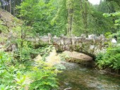 Burgen Sclösser