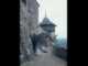 Wernigerode